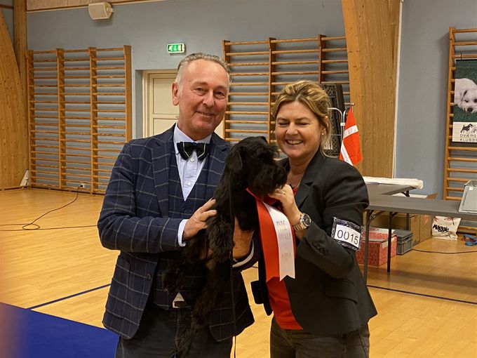 Our youngster Estellet´s Biscaya Z 6 month BIS puppy under judge Gunther Ehrenreich, Austria