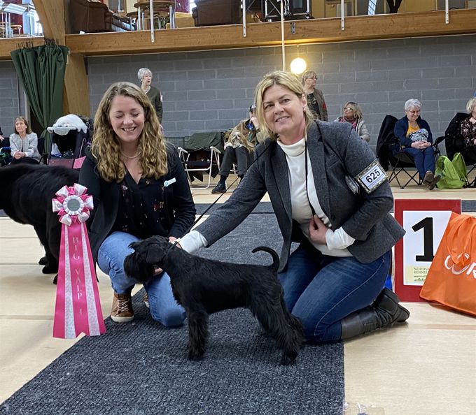 Estellet´s Biscaya Z BIG-1 Puppy in group 2 under judge Pernilla Sandström